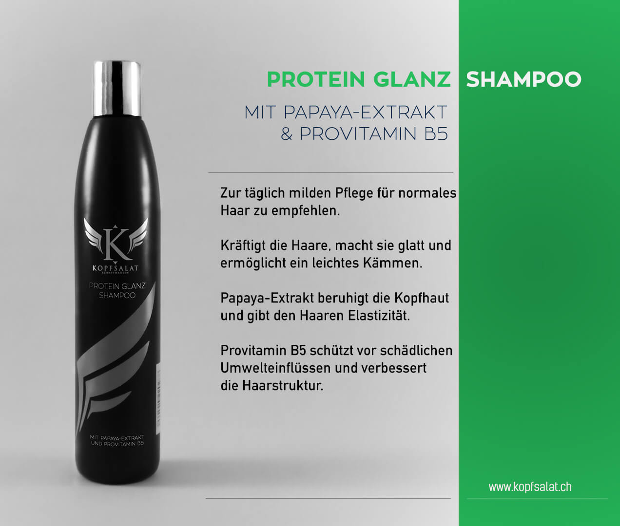1 protein glanz shampoo